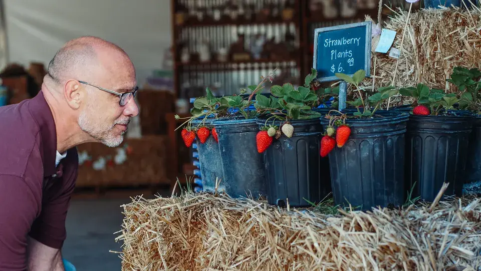 Serving Progress Village with Deep Local Expertise — Progress Village, FL